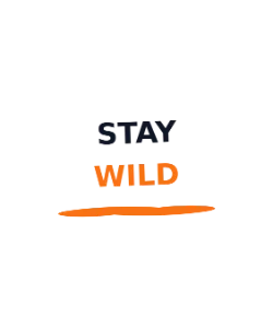 Bold Statement Tee